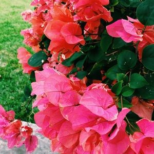 Meet your Posher, Selena